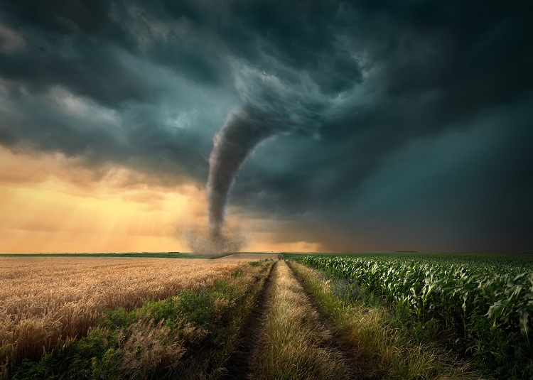 Tornado traveling through farm land